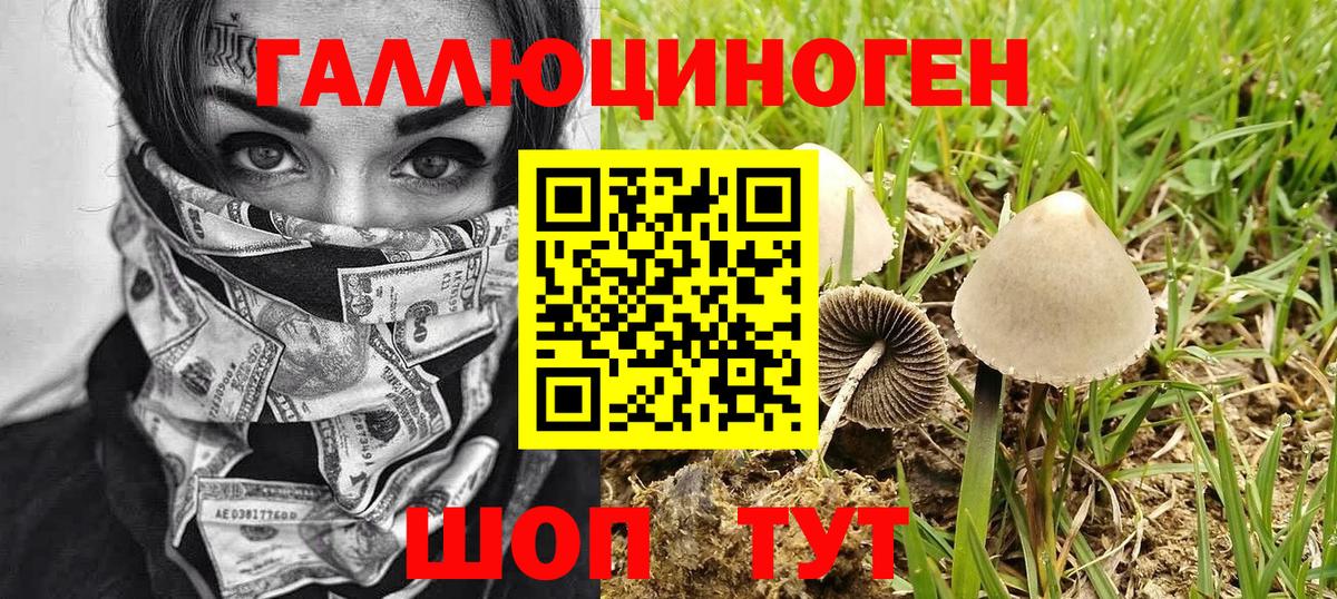Псилоцибиновые грибы Magic Shrooms  Галлюциногенные грибы Cubensis  Павловский Посад  Вход с VPN 
