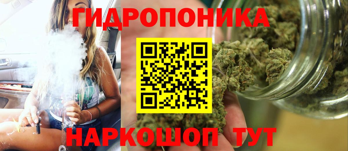 Бошки Шишки планчик Павловский Посад
